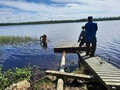 Seniorit talkoilee Malalammella 3.6.2024, rantapolulla ja laiturilla. Kuvat Matti ja Markku Lehtinen